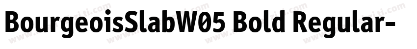 BourgeoisSlabW05 Bold Regular字体转换